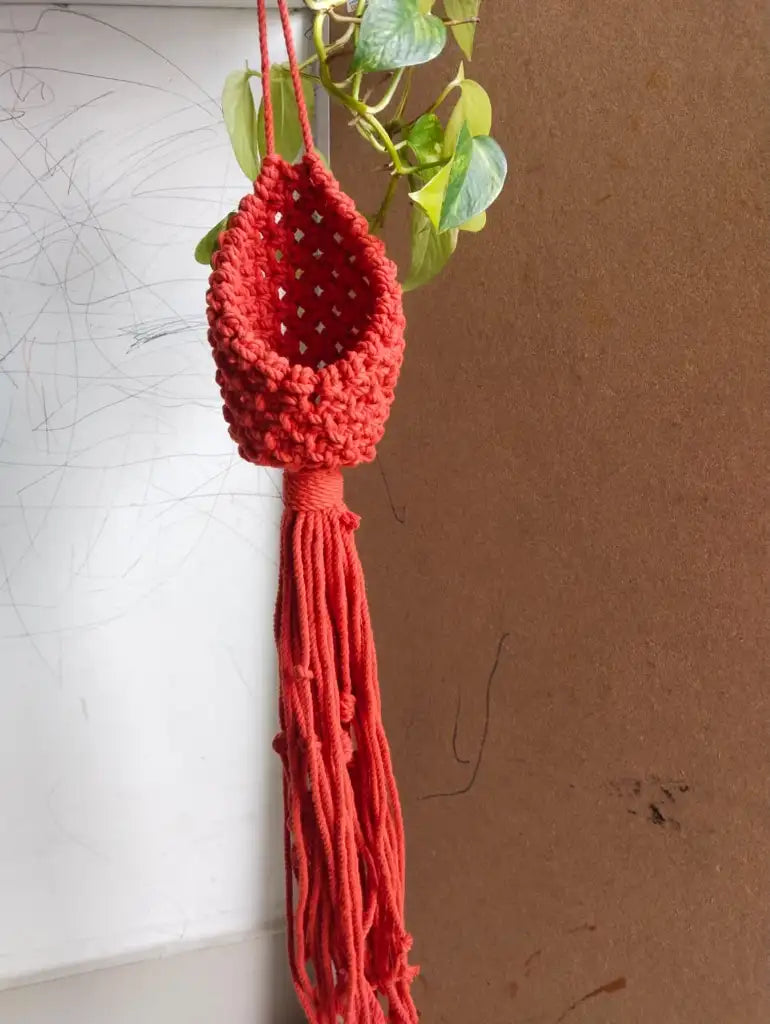 Macrame Nest Hanger (Brown/Orange/Green)